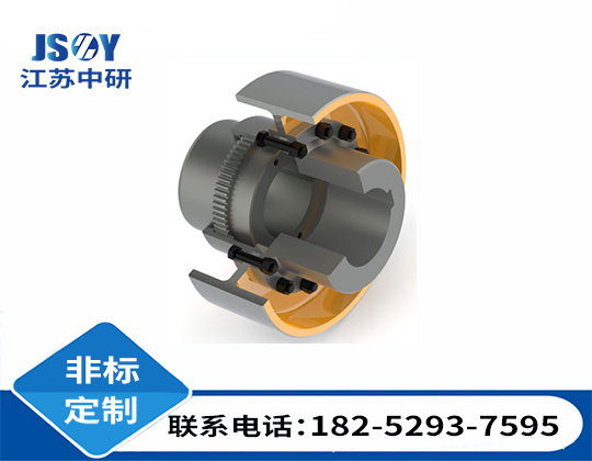 WGZ帶制動輪型鼓形齒式聯(lián)軸器